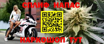 спайс Краснодар
