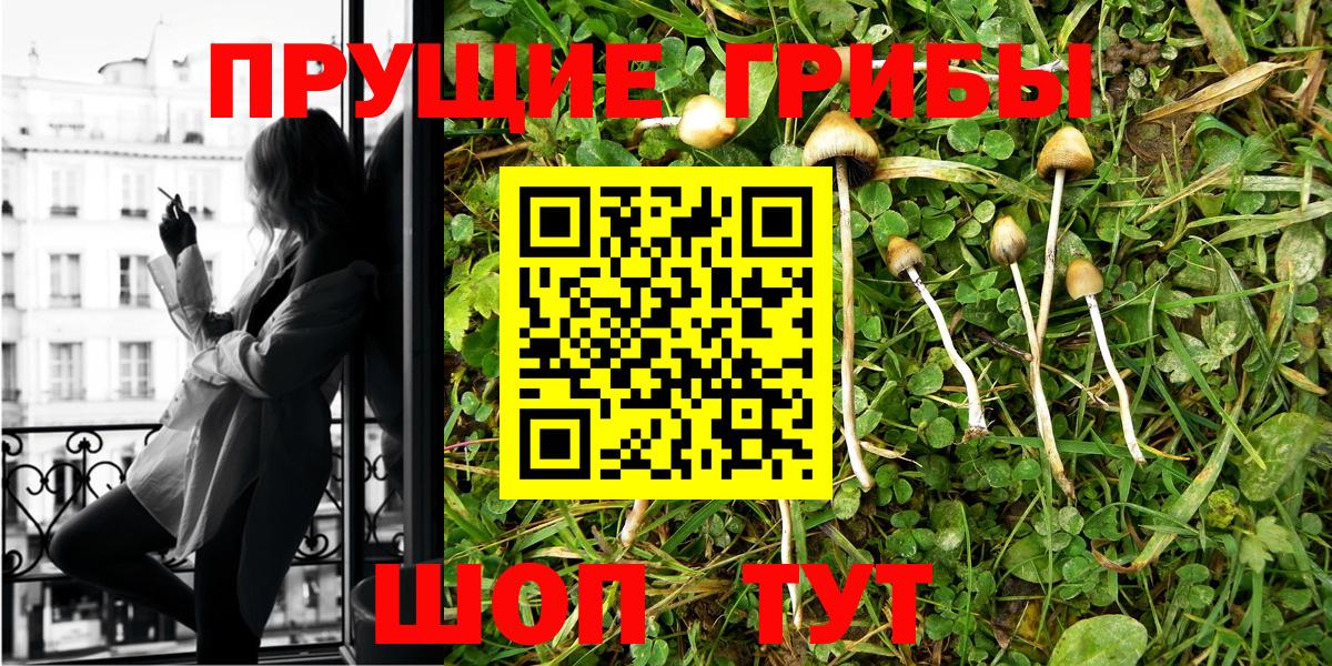 Меф   COCAIN  Кимры  Вход с VPN  ГАШИШ  Конопля  A PVP СК кристаллы  МДМА 