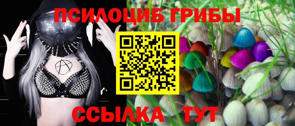 Псилоцибиновые грибы Cubensis  Вход с VPN  Кимры 